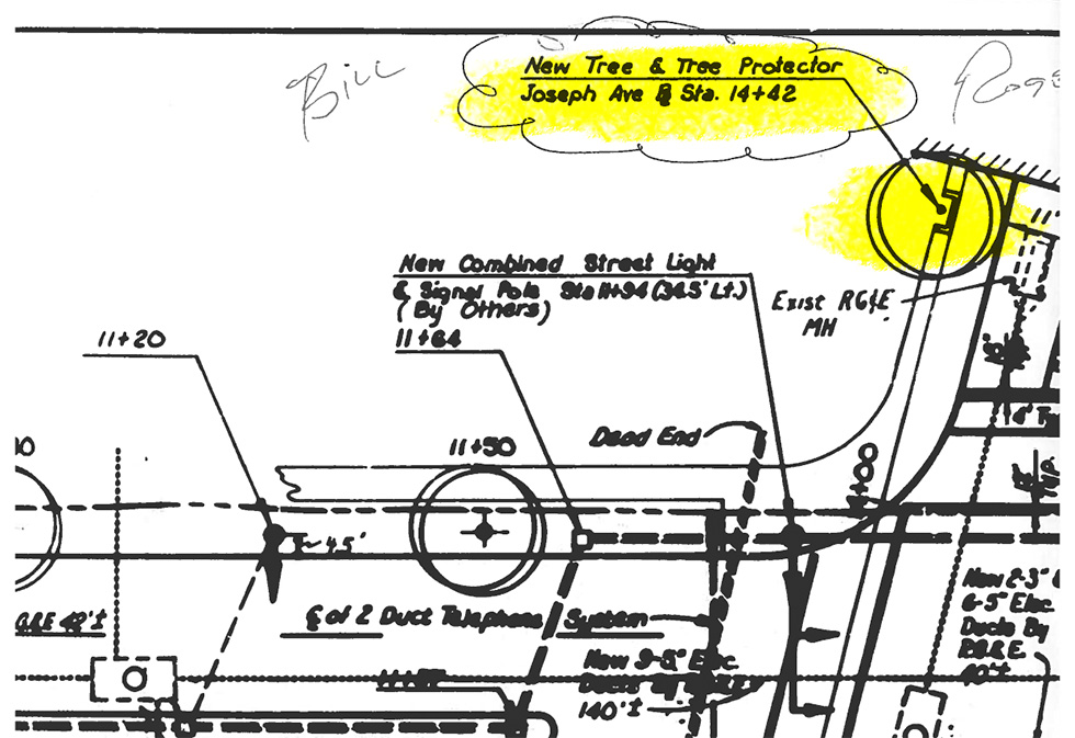 Joseph Avenue street plan from the 1970s shows our mystery wall was a 'tree protector'.