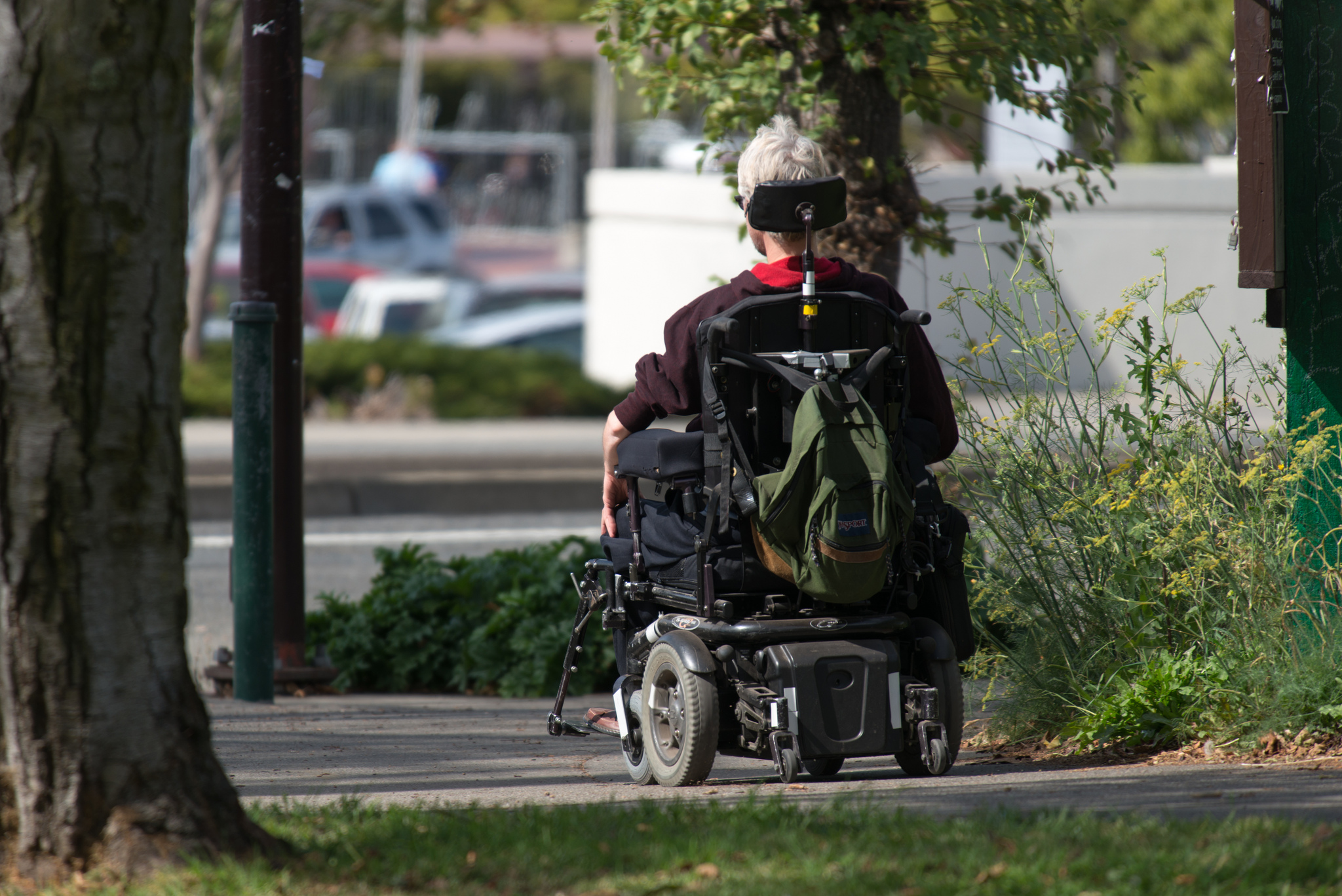 Person using wheelchair (IMAGE: D Coetzee, Flickr)